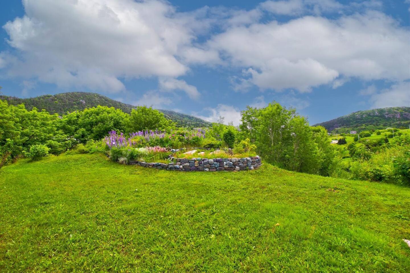 Вилла The Vista At Quidi Vidi - Stunning Views & Trails Сент-Джонс Экстерьер фото